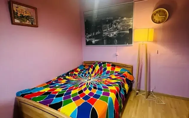 Spacious Double Bedroom well connected to Université Paris-Est Créteil (UPEC) 2