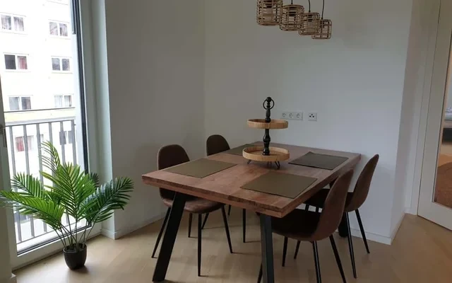 Danny - grosse Neubau-Wohnung mit Panorama Fenster 3