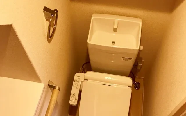 クレイノプルメリア 1