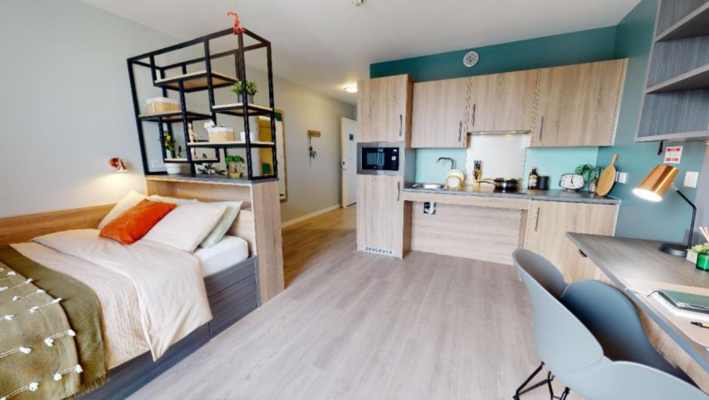 Gold Studio Plus Large