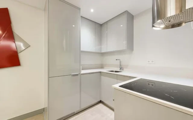 2 bedrooms 2 bathrooms furnished - Salamanca - functional & comfy 4
