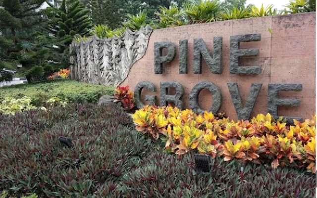 Pine Grove - JW 0