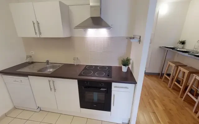 11 Rue Macquart, 59800 4
