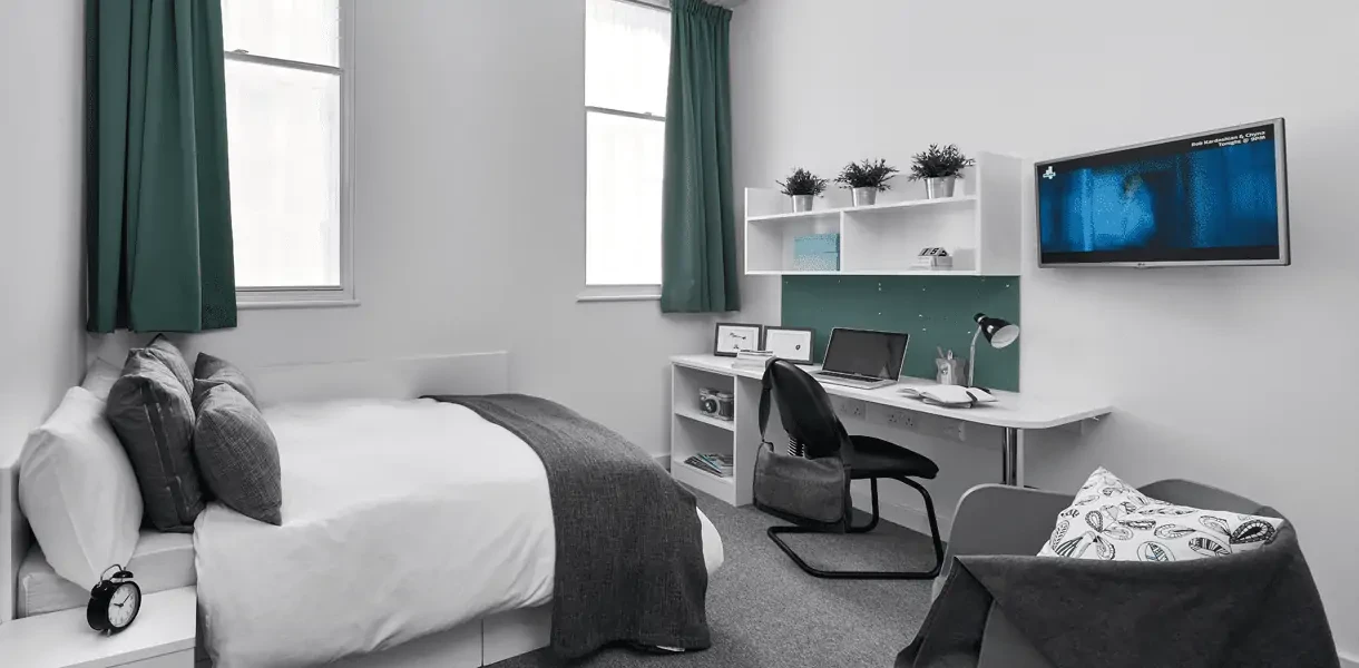 Standard Plus Studio