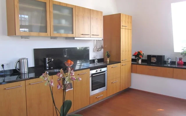 Large Unique Full-Serviced Elegant Penthouse-Apartement between Park and City Center 4