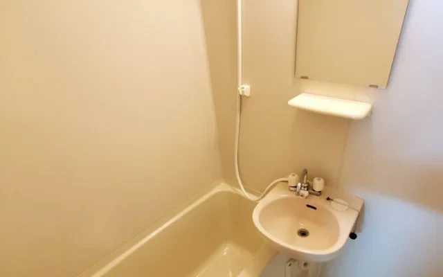 Domi Ichiru Kamifukuoka 305 4