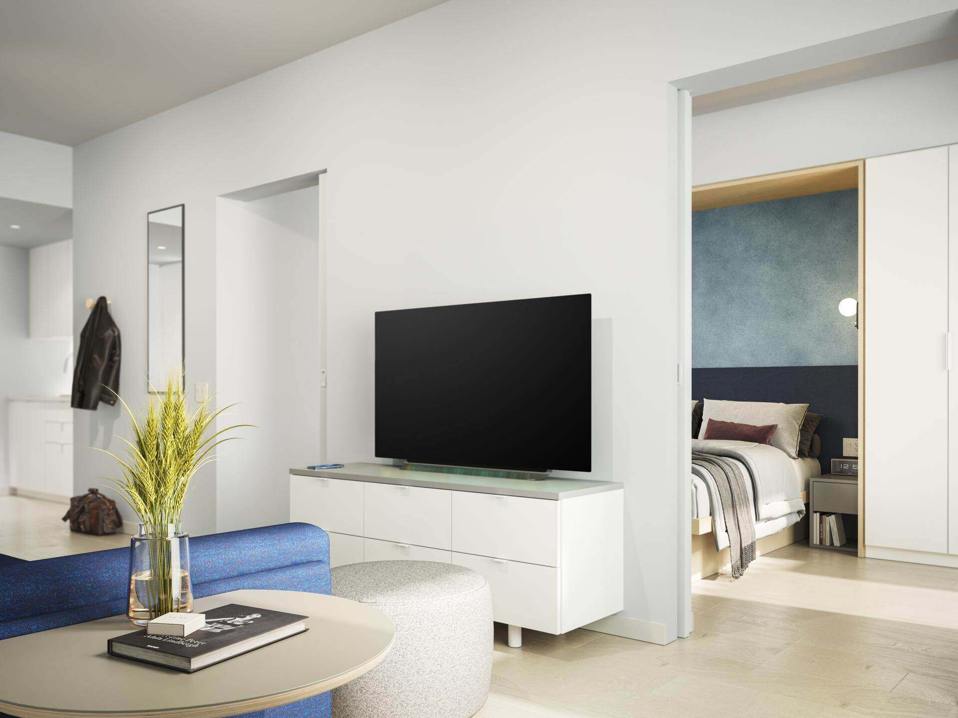1 Bedroom (1BA1M)
