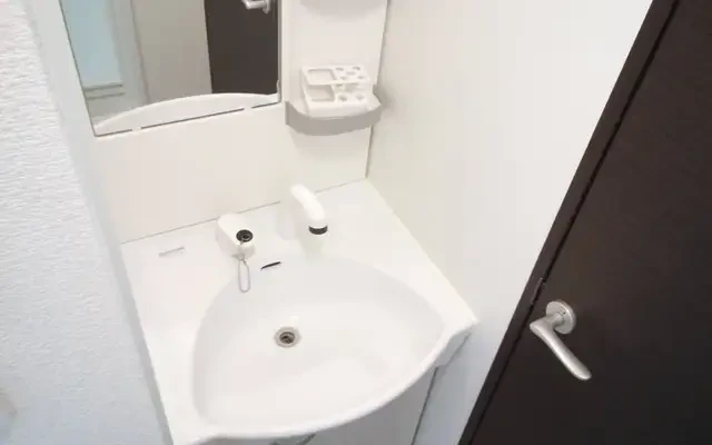 レオネクスト向日葵 1