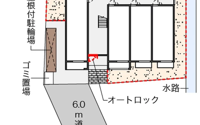パキラ 2