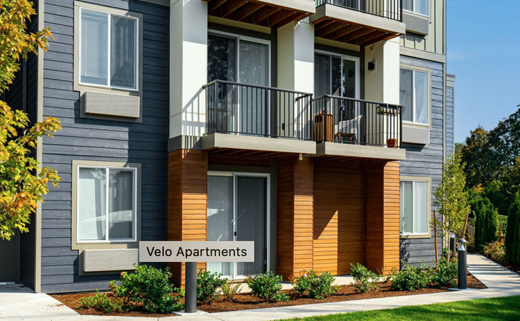 Eugene velo discount