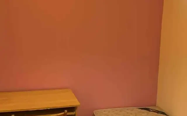 Vitry-sur-Seine 94e·20m²·F1·Studio·With furniture 4