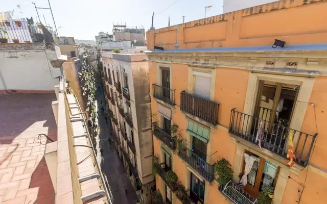 studio in Sant Pere, Santa Caterina and La Ribera (Old Town) 0