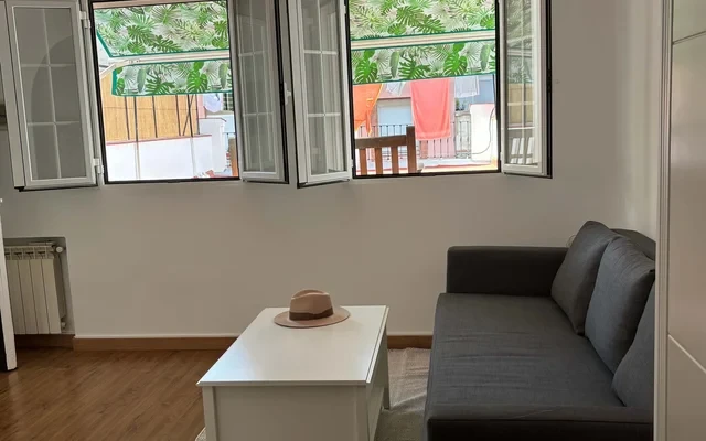 Apartment in Calle de Murillo, Madrid for 40 m² 1