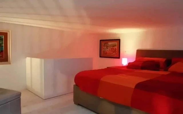 Loft in via Raffaele Cadorna - Roma 4