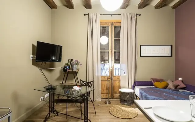 studio in Sant Pere, Santa Caterina and La Ribera (Old Town) 2