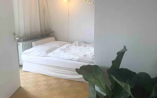 Beautiful Apartment in the Center of Munich 2