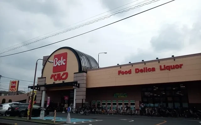 レオパレスセゾン 1