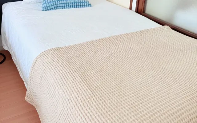 Asakusa Bridge - Tokyo student accommodation - 503