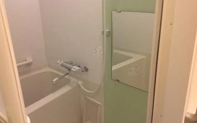 レオネクストカワセミ 1