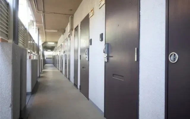 シャトレカルムキヌガサ 4