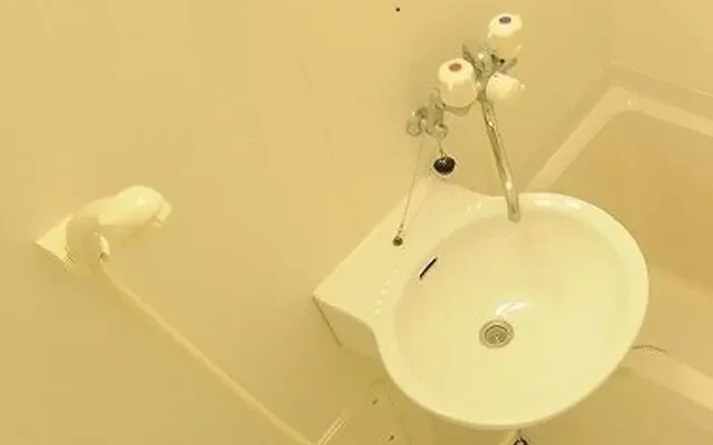 Leopold palace town court kitatanabe II, room 202 4