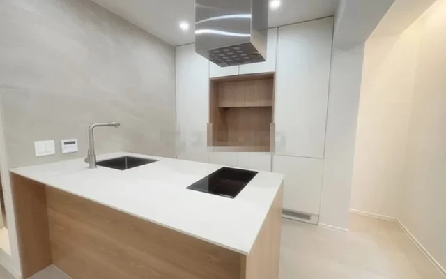 Split Open-Plan High-End Studio Apartment 3