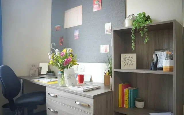 Dinwiddy House - London student accommodation - Standard En-Suite