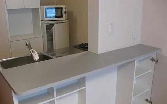シャトレー荒谷Ⅱ - Ichinoseki student accommodation - 108号房间(带独立厨房)