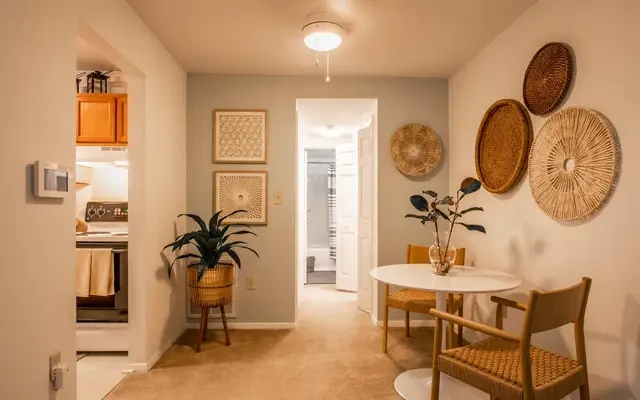Blacksburg Apartments 4