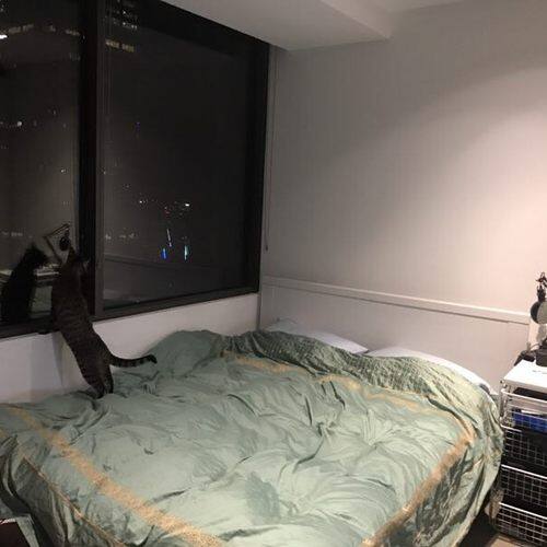 Room for Rent Melbourne Student uhomes