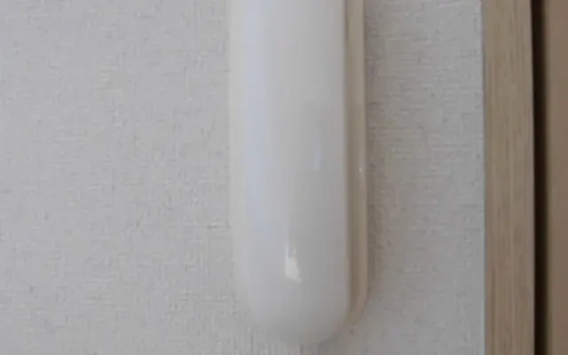 レオパレスエクセル 2