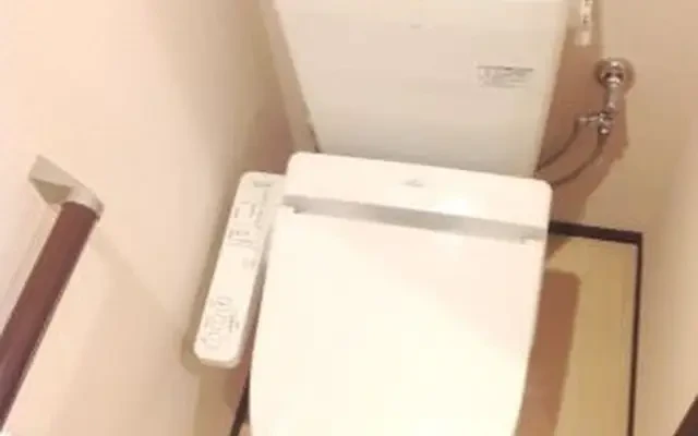 クレイノプルメリア 2