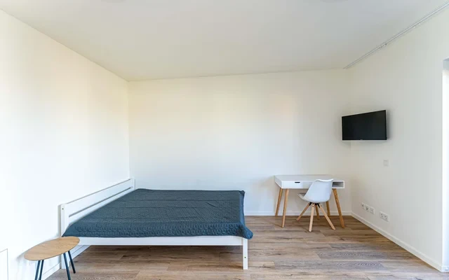 One room apartment 2