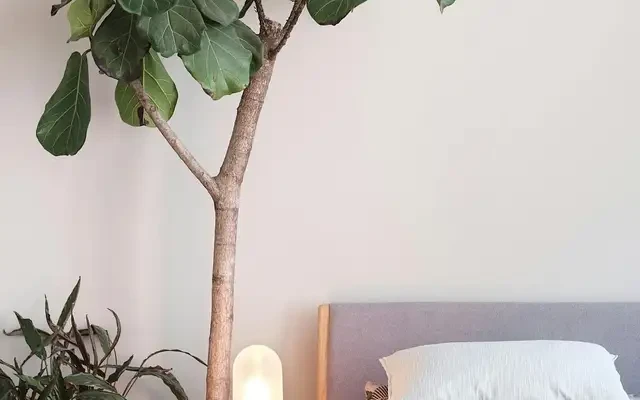 Koernerstrass 4