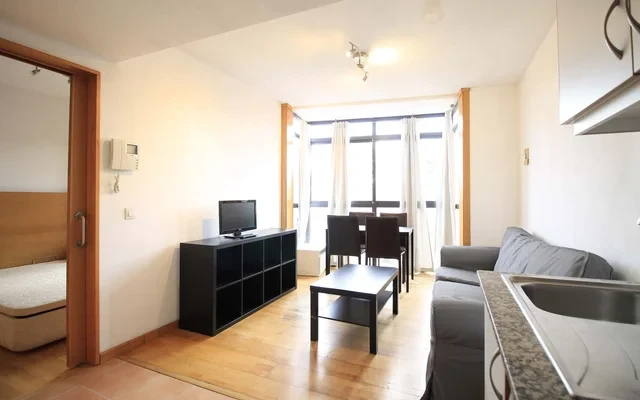 Apartment Calle Doctor Martin Arevalo 0