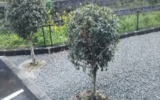 レオパレスクレオ 2