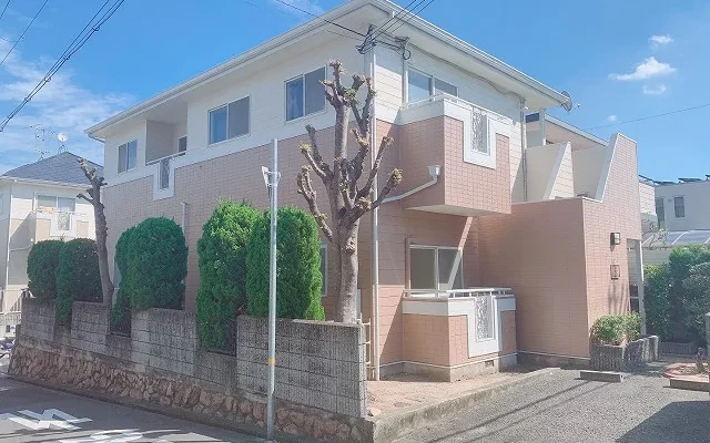 アムール 0