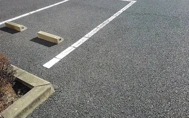 レオパレスＳｕｎ　ｆｌｏｗｅｒ 1