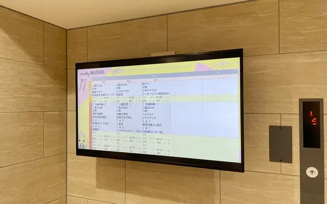 French Air Machida 3