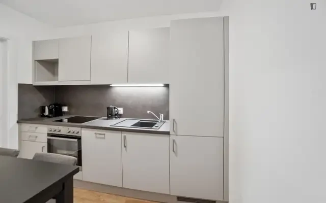 apartment near Waagner-Biro Straße 128-130 - ที่พักนักศึกษาในกราซ