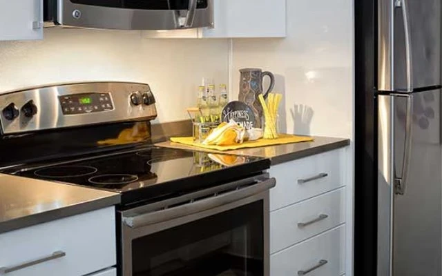 2B2B Apartment near San Jose State University 1