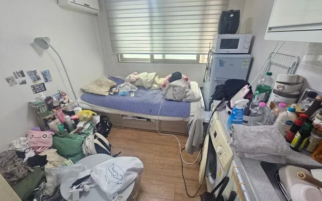 연희동 0