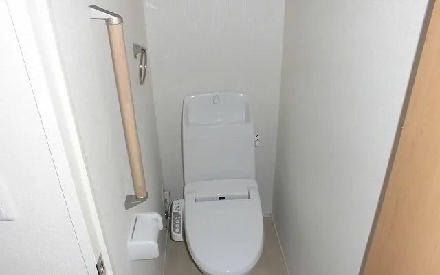 クレイノヴィオラ 1