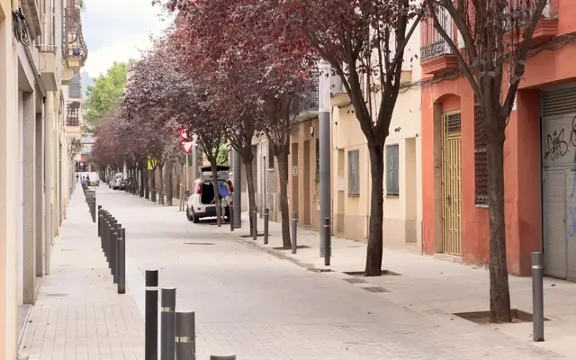 studio in Sant Andreu 1