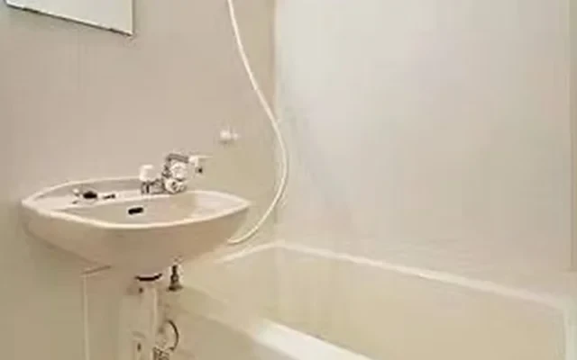 Saint Emilion Otsuka Ichibankan 1203 3