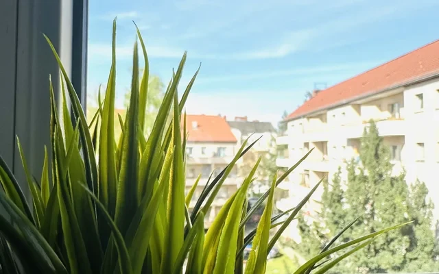 Apartment in Provinzstrasse, Berlin for 35 m² 3