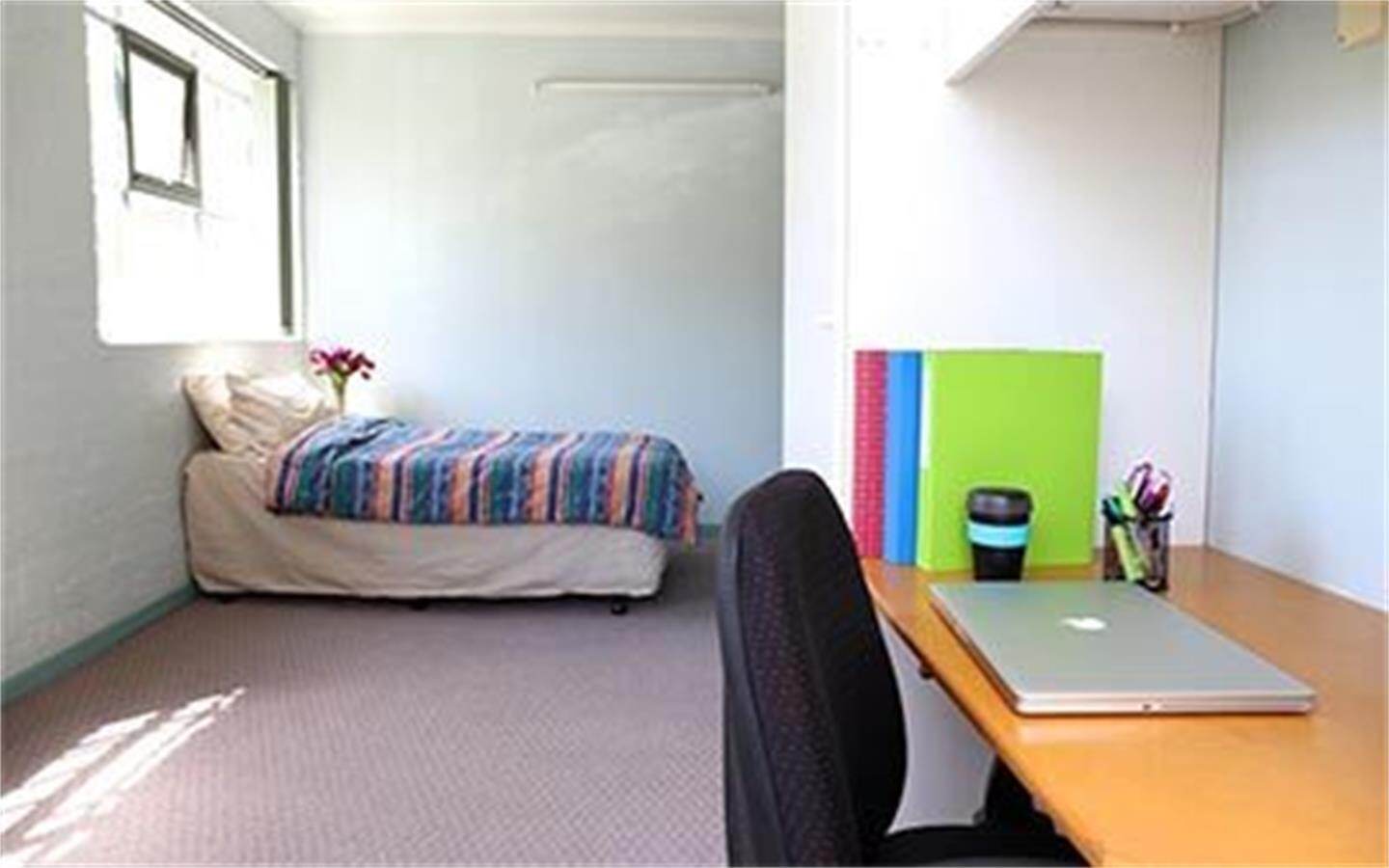 3 Bedroom Apartment Whole apartment