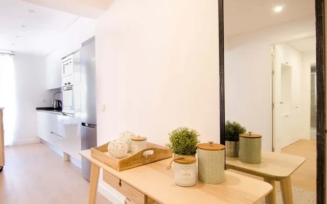 2 bedrooms 2 bathrooms furnished - Chueca - spacious in downtown area 4