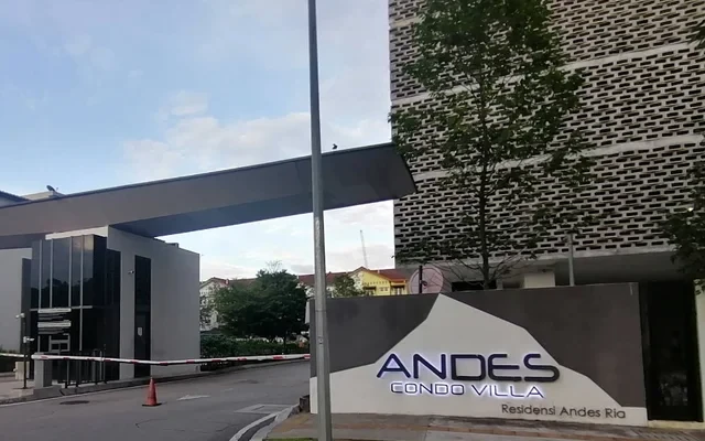 The Andes 3