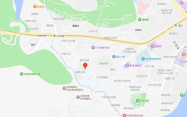 Sha Tau Kok Metro Station Store - CJIA Prime Apartment 2